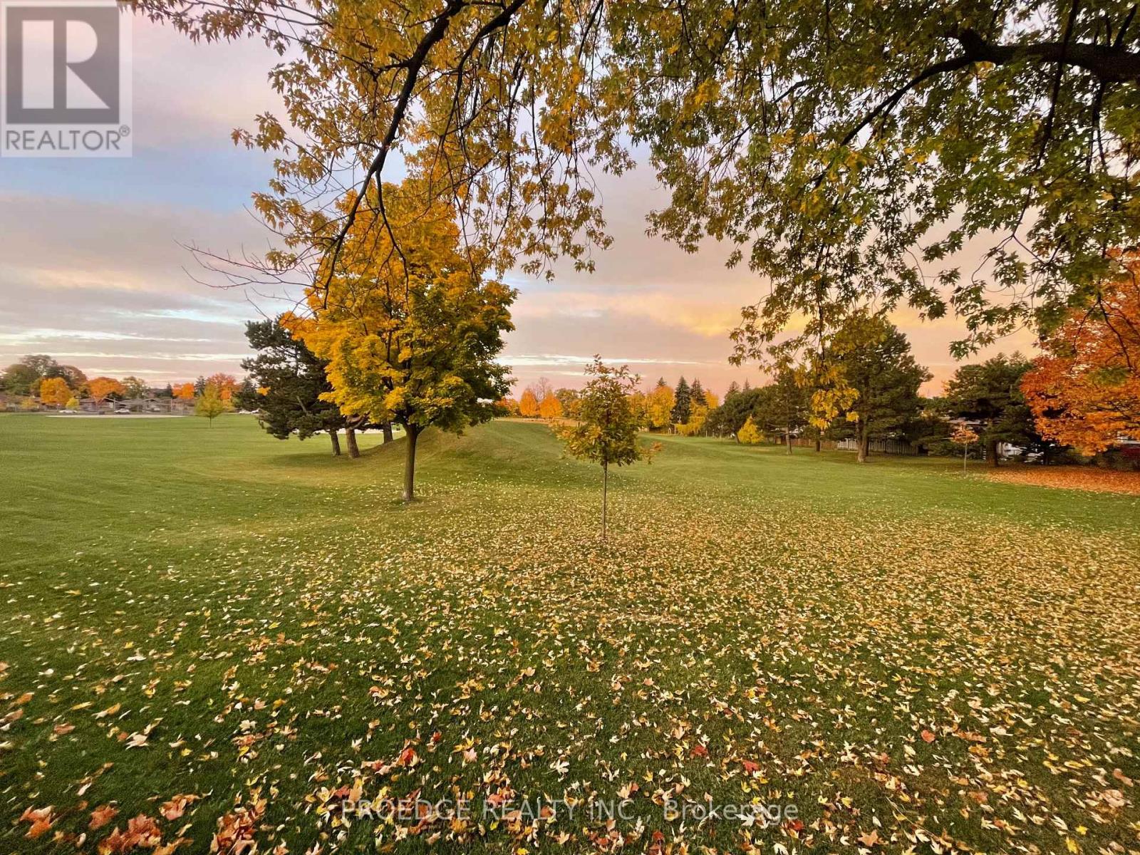 262 Randall Crescent, Toronto, Ontario  M1M 3K4 - Photo 29 - E12445978