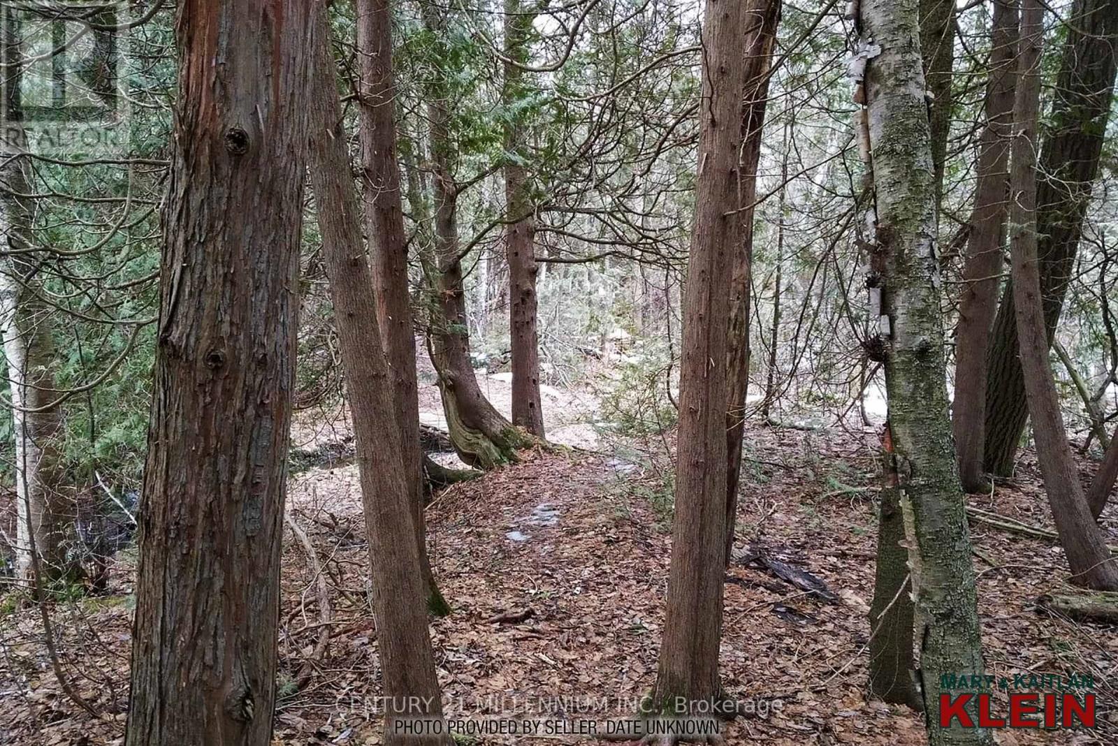 18599 Horseshoe Hill Road, Caledon, Ontario  L7K 2B9 - Photo 49 - W12764812