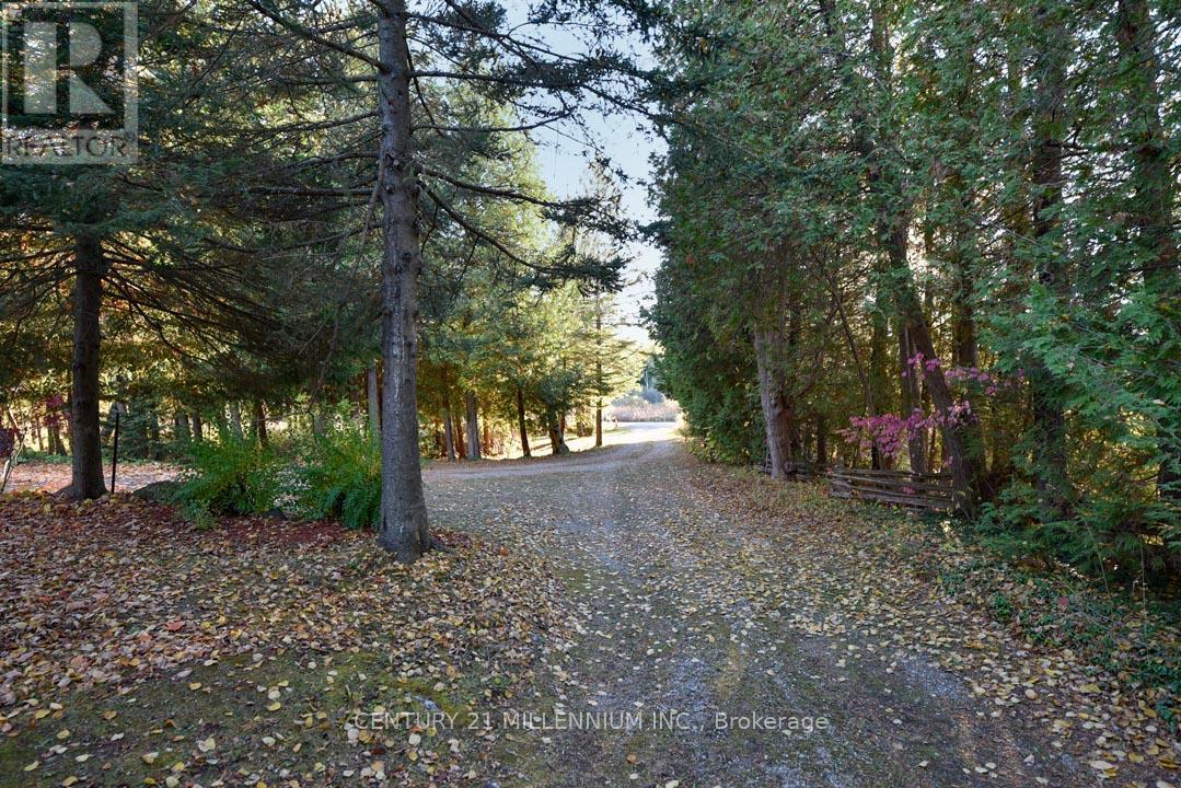 18599 Horseshoe Hill Road, Caledon, Ontario  L7K 2B9 - Photo 5 - W12764812