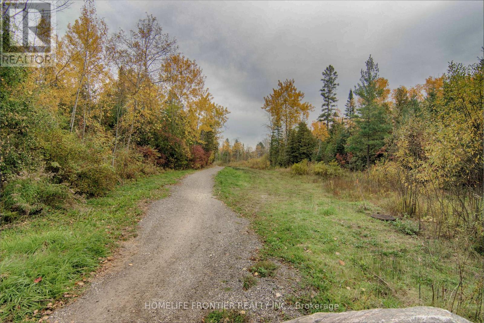 19 Betty Boulevard, Wasaga Beach, Ontario  L9Z 2Y4 - Photo 14 - S12761356