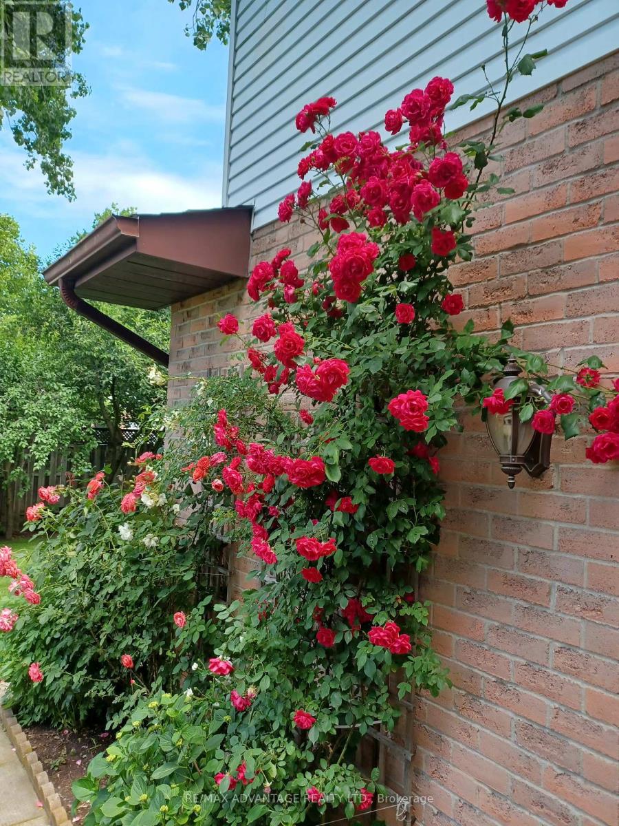 122 Barrydale Crescent, London North, Ontario  N6G 2X6 - Photo 45 - X12764872