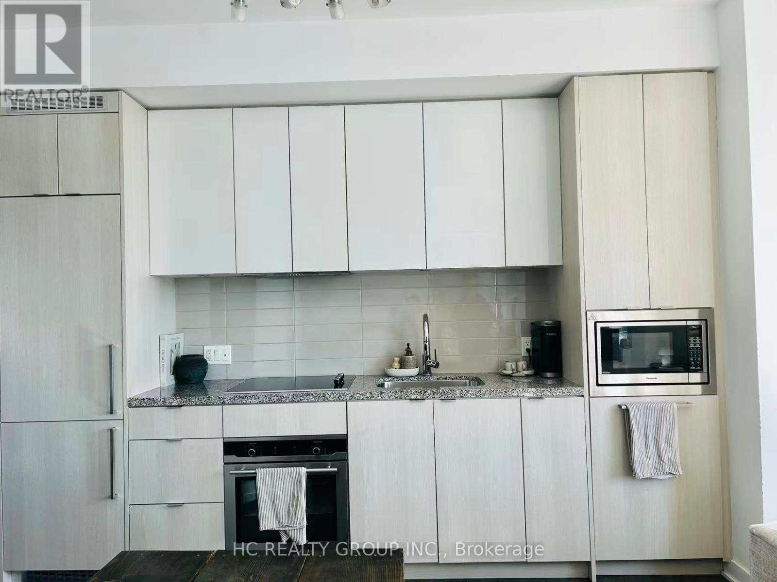 3005 - 115 Blue Jays Way, Toronto (Waterfront Communities), Ontario  M5V 0N4 - Photo 4 - C12765104