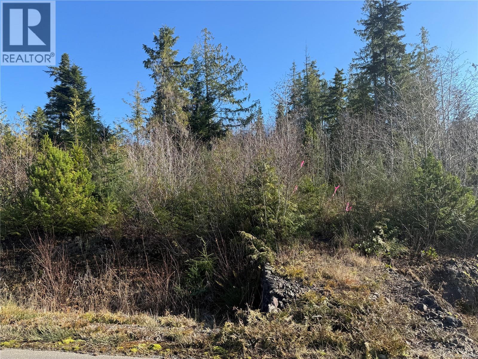 5865 Goletas Way, Port Hardy, British Columbia V0N 2P0 - Photo 2 - 1025254