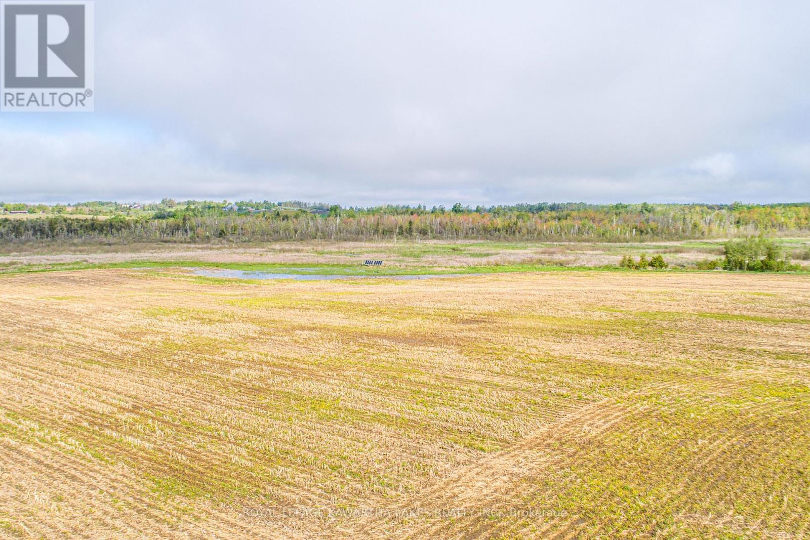 1937 Glenarm Road, Kawartha Lakes, Ontario  K0M 1G0 - Photo 40 - X11991212