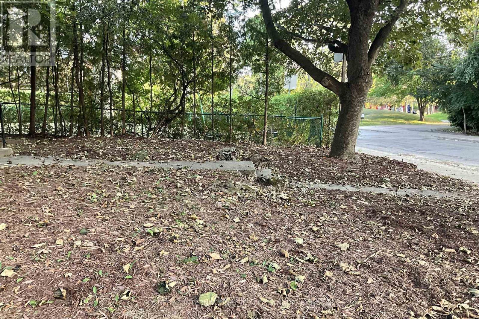 153 Glen Cedar Road, Toronto, Ontario  M6C 3G6 - Photo 7 - C12412584