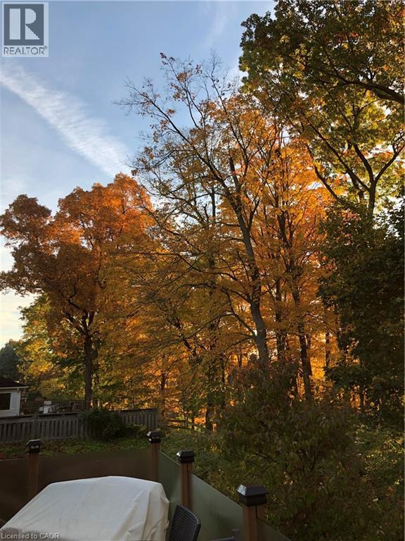 97 Robinhood Drive, Dundas, Ontario  L9H 4G2 - Photo 48 - 40802469