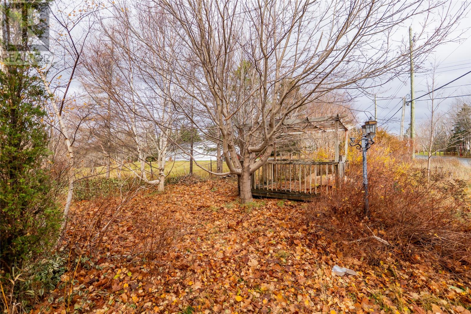 9 Ridge Road, Holyrood, Newfoundland & Labrador  A0A 4L0 - Photo 34 - 1294359