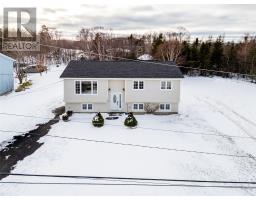 48 Franks Road, Conception Bay South, Newfoundland & Labrador