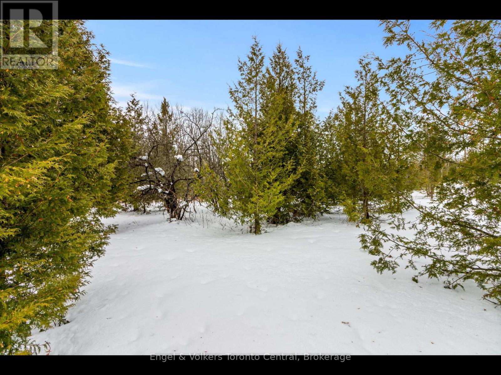 429571 8th B Concession, Grey Highlands, Ontario  N0C 1M0 - Photo 15 - X12703456