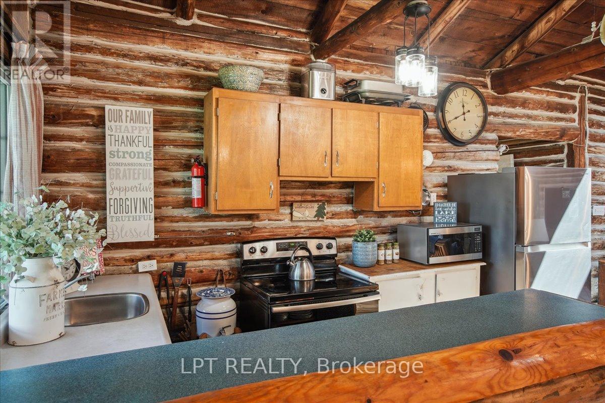 1689 Chief Joseph Snake Road, Georgina Islands, Ontario  L0E 1R0 - Photo 11 - N12765278