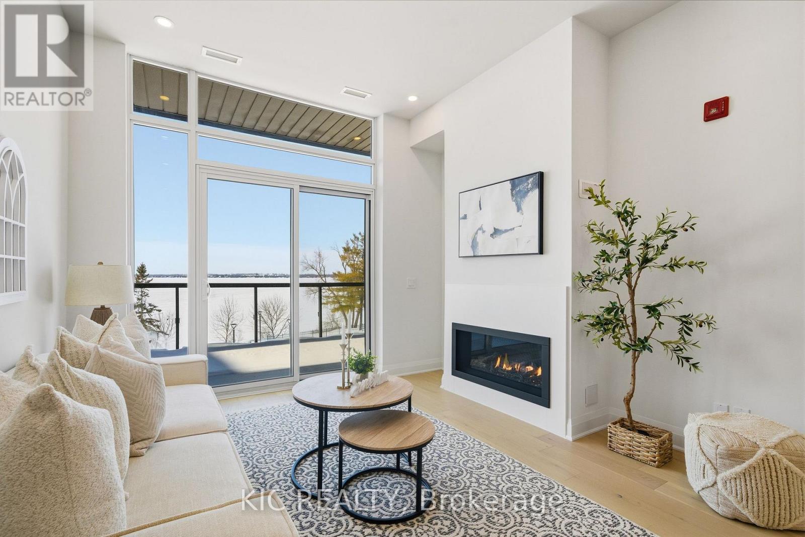 210 - 99 Louisa Street, Kawartha Lakes, Ontario  K0M 1N0 - Photo 6 - X12765326