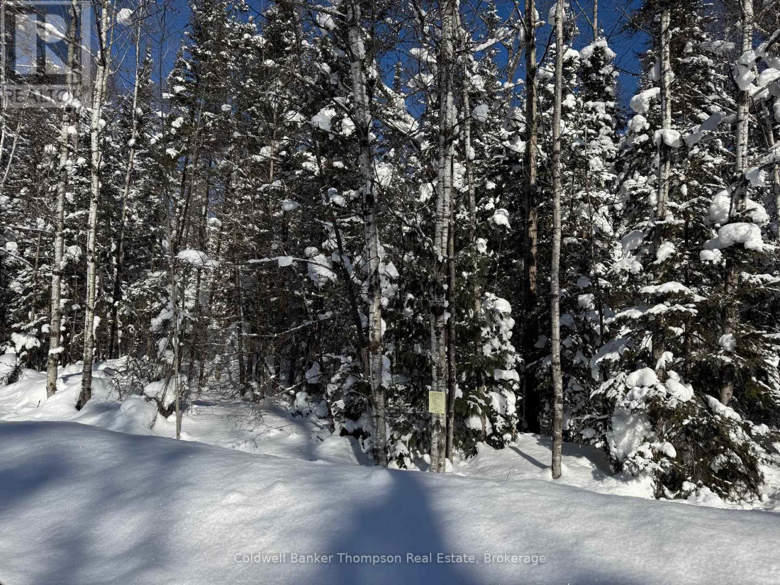 0 Highway 518 Highway, Kearney, Ontario  P0A 1M0 - Photo 3 - X12765560