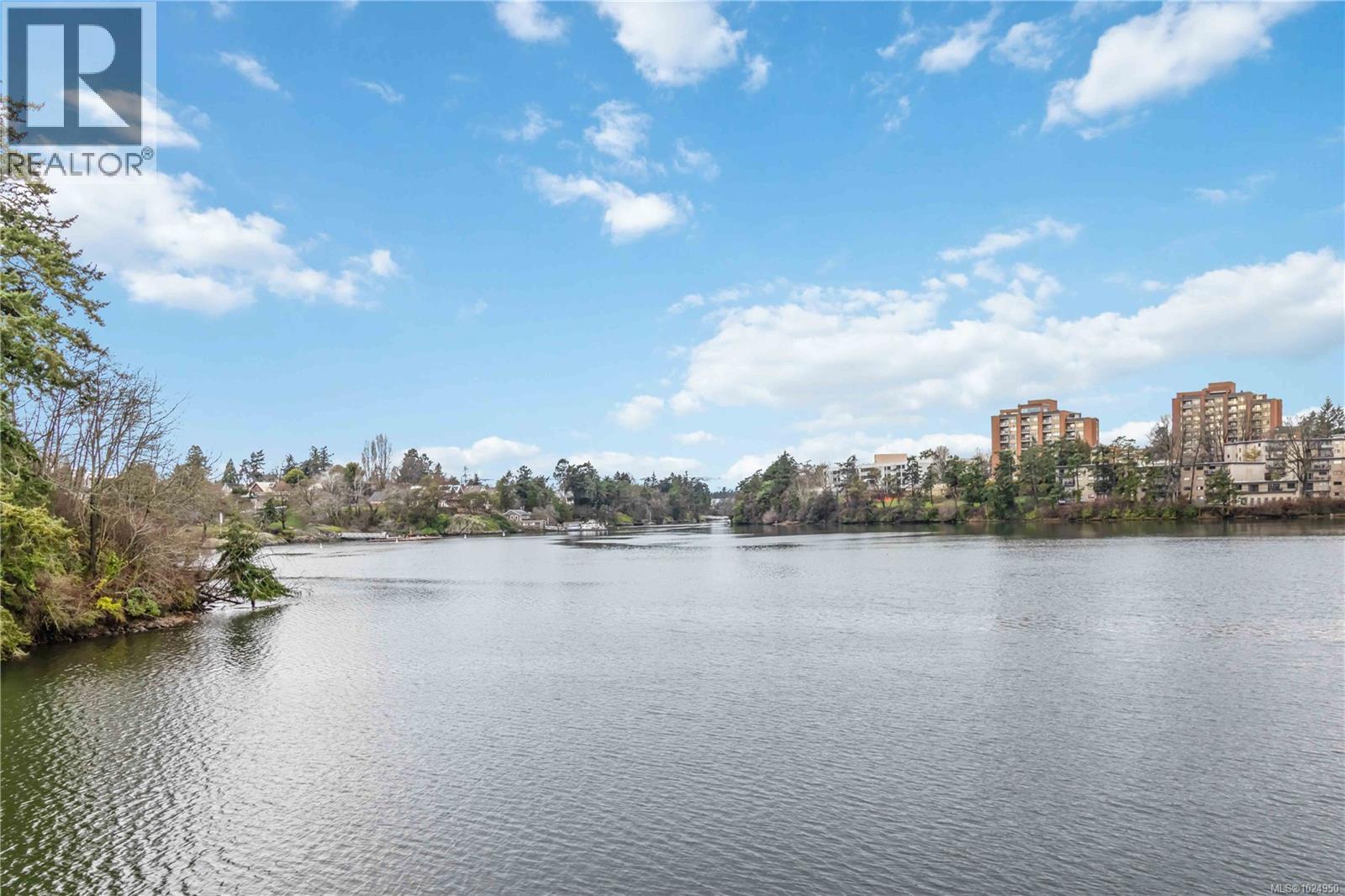 313 90 Regatta Landing, Victoria, British Columbia  V9A 7R2 - Photo 48 - 1024950