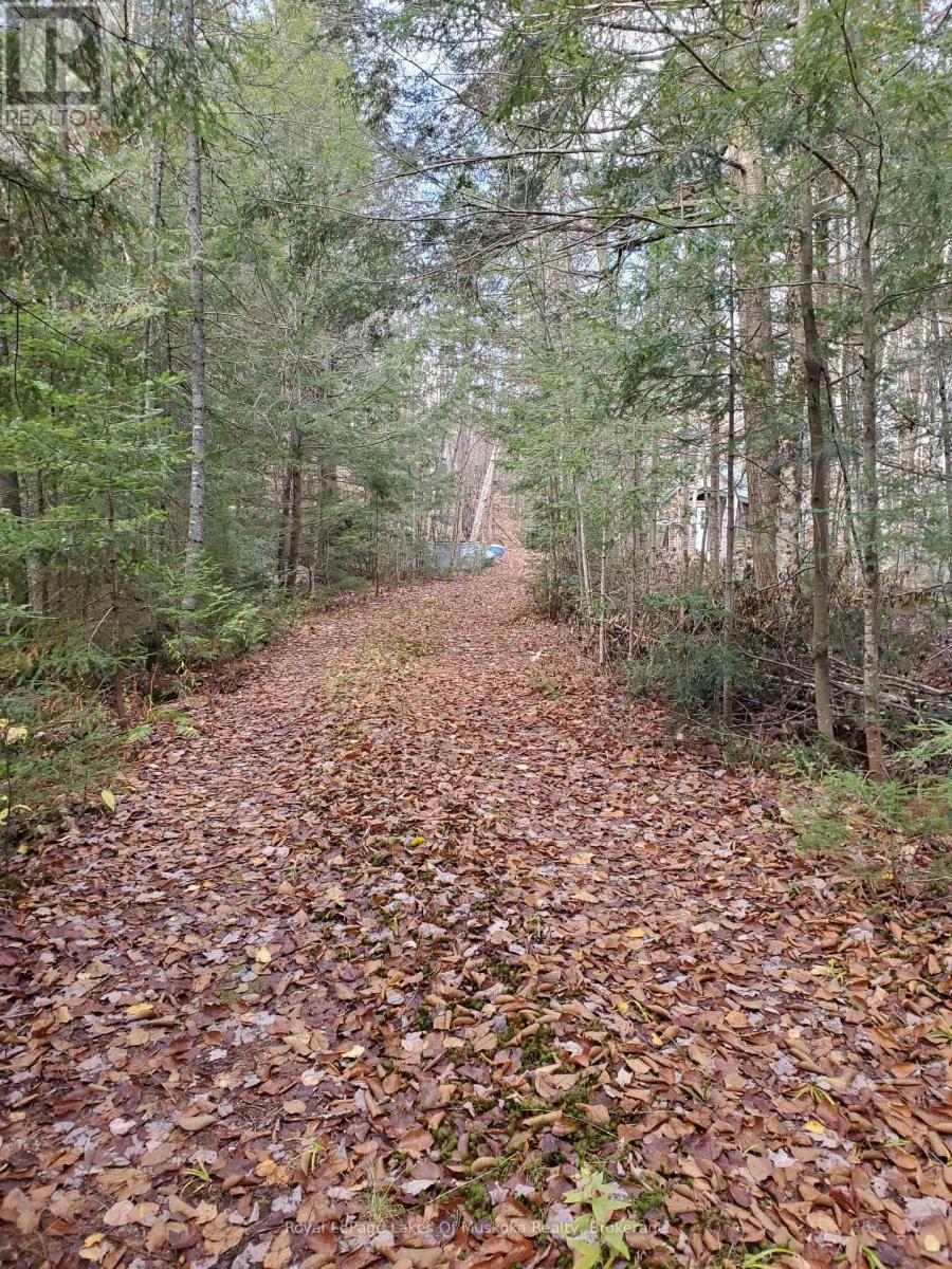 00000 Ril Lake Road, Lake Of Bays, Ontario  P0B 1A0 - Photo 3 - X12518148