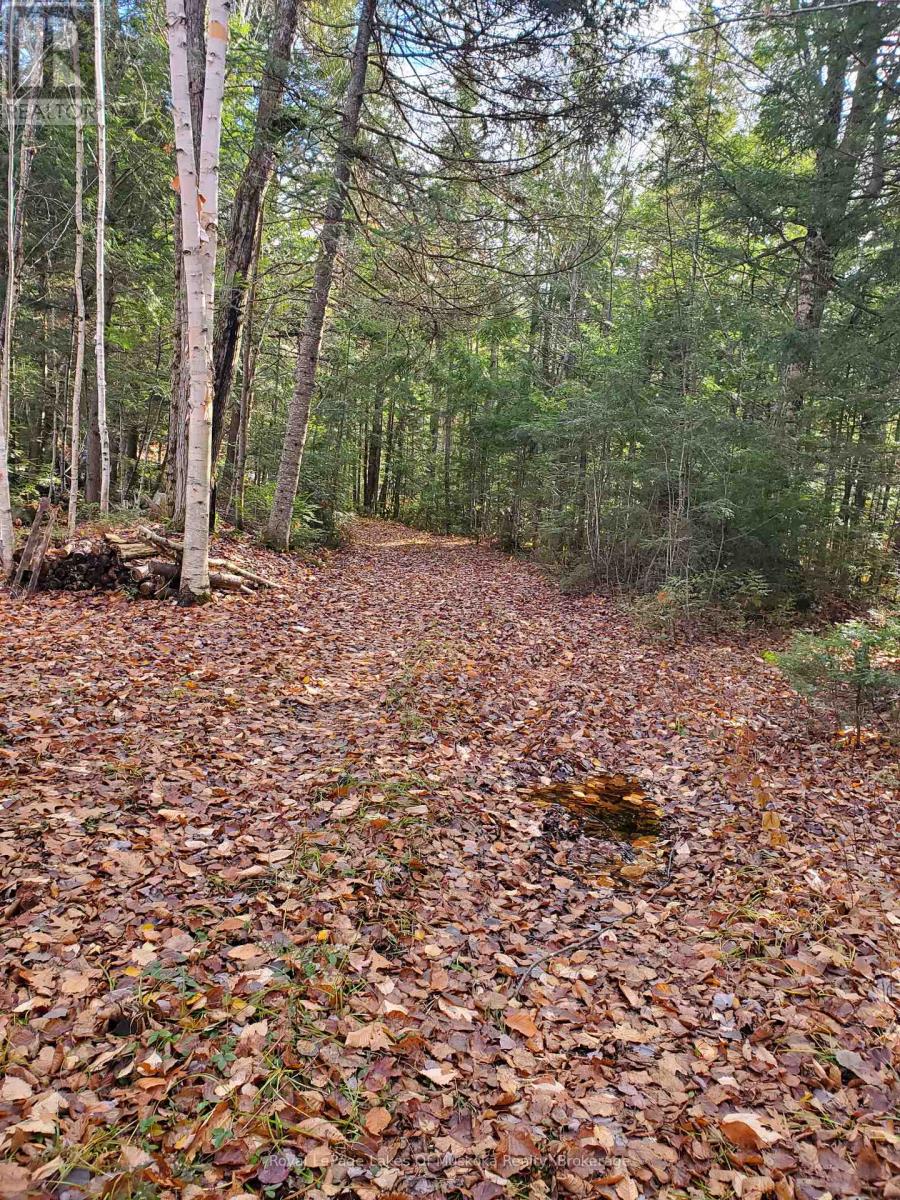 00000 Ril Lake Road, Lake Of Bays, Ontario  P0B 1A0 - Photo 4 - X12518148