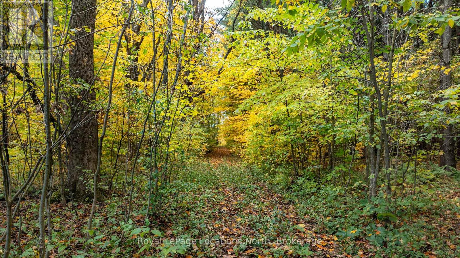 609830 12th Side Road, Blue Mountains, Ontario  L9Y 0P6 - Photo 28 - X12765660