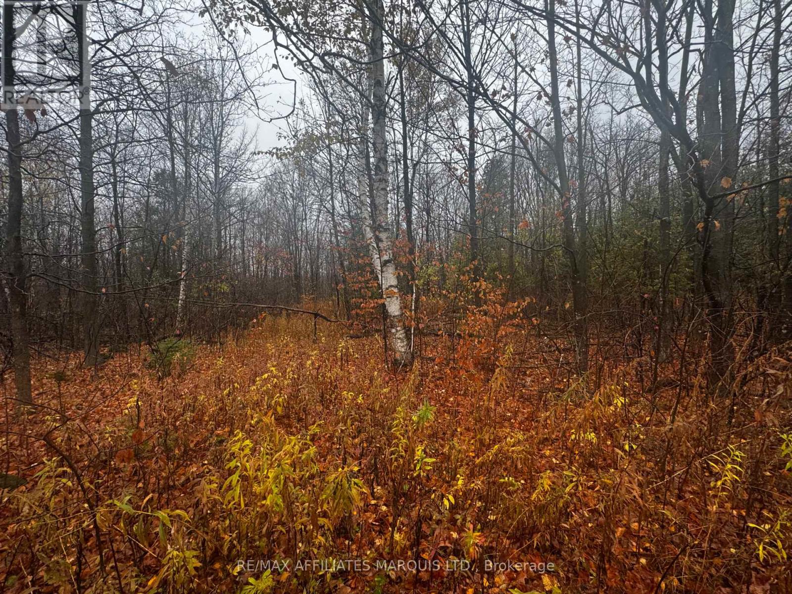 Lot County Road 43 Road, North Glengarry, Ontario  K0C 1A0 - Photo 6 - X12765732