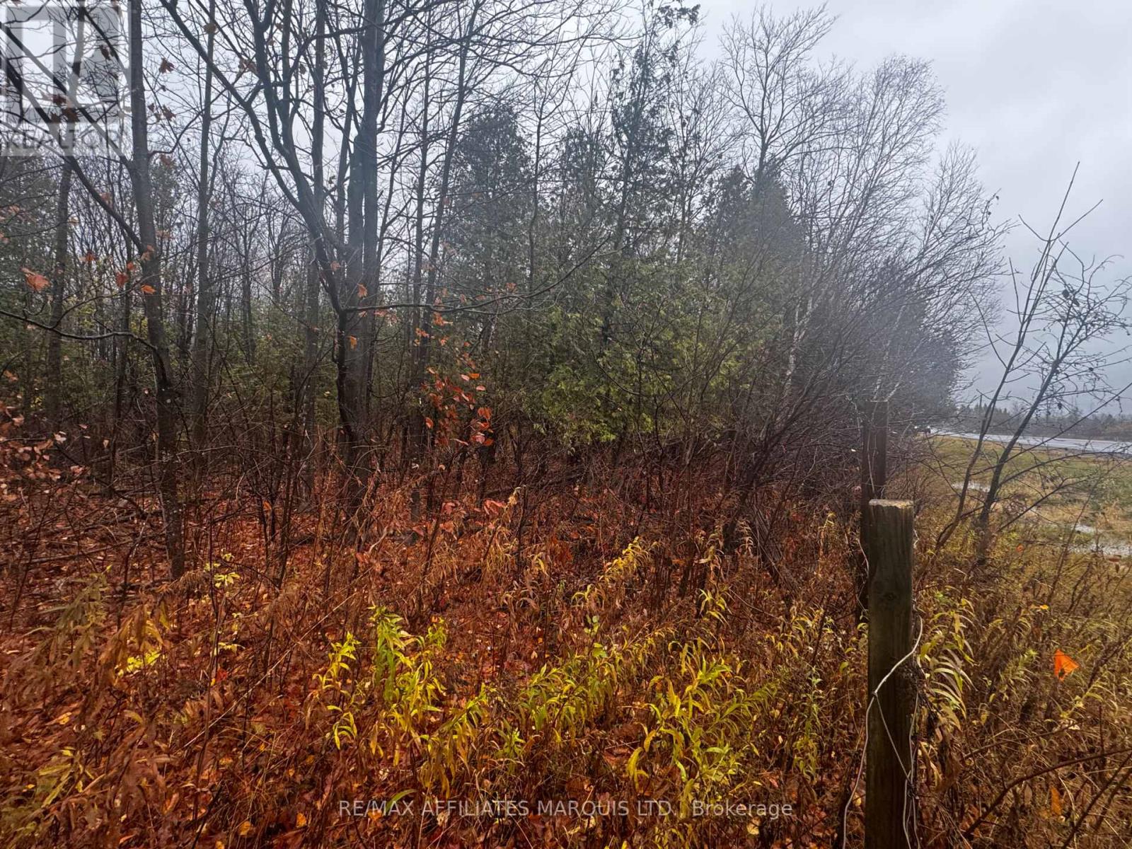 Lot County Road 43 Road, North Glengarry, Ontario  K0C 1A0 - Photo 7 - X12765732