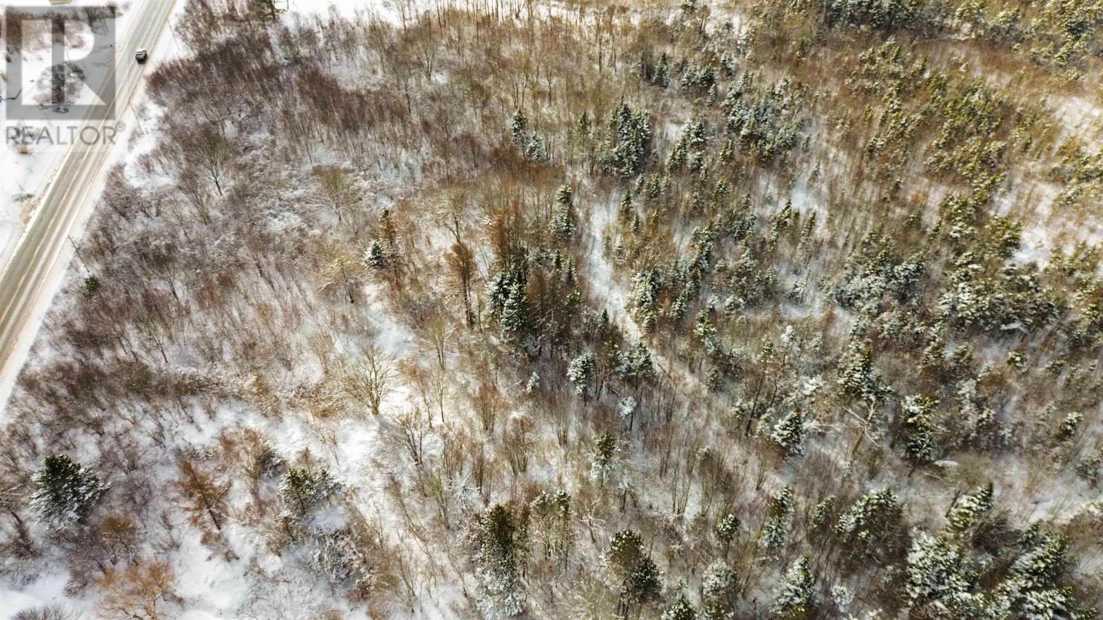 Lot Highway 101, Ashmore, Nova Scotia  B0W 3T0 - Photo 4 - 202602300