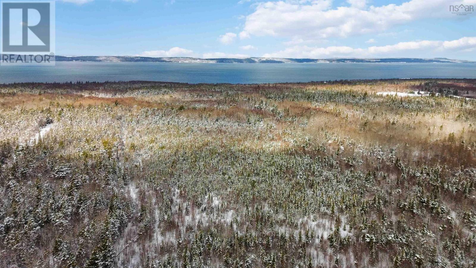 Lot Highway 101, Ashmore, Nova Scotia  B0W 3T0 - Photo 12 - 202602300