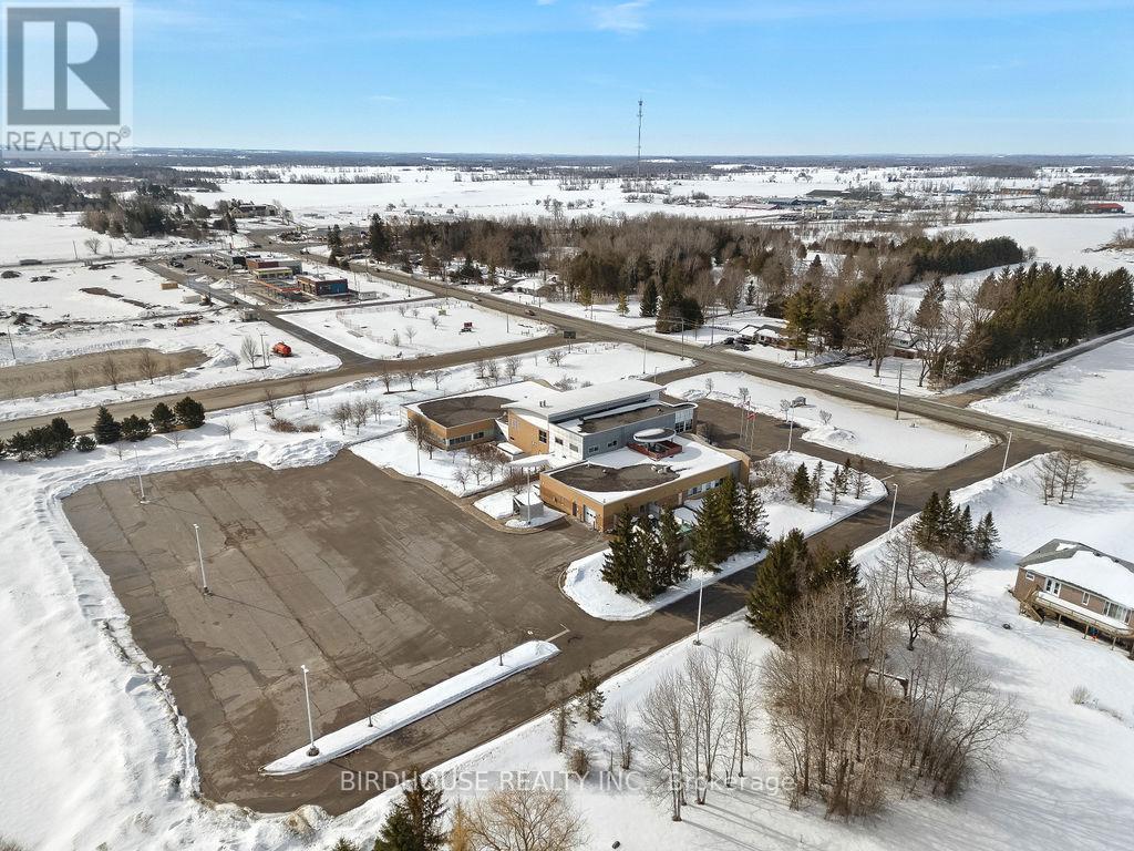 2300 Sq Ft - 336 Angeline Street S, Kawartha Lakes, Ontario  K9V 0J8 - Photo 2 - X12765942