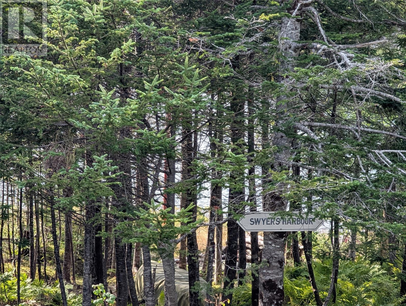 1 Vineland Road, Salmonier, Newfoundland & Labrador  A0B 2M0 - Photo 25 - 1294369