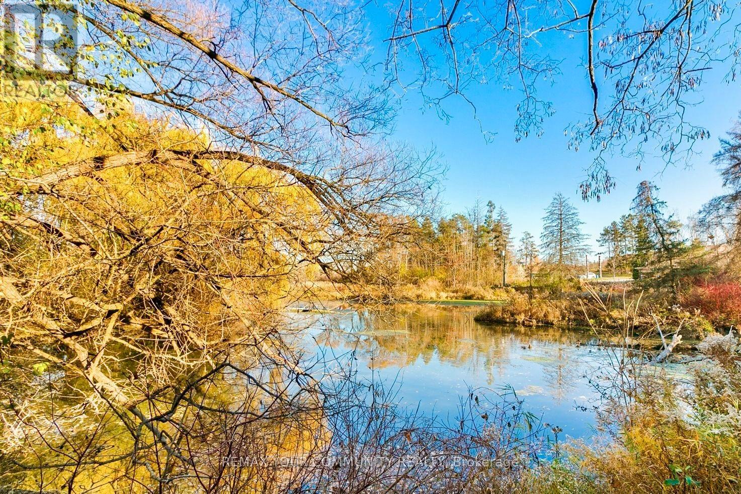 635 Tapestry Lane, Newmarket, Ontario  L3X 3C8 - Photo 29 - N12765934