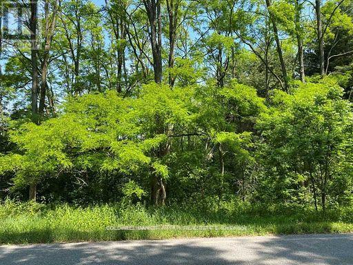 0 Lakeport Road, Alnwick/haldimand, Ontario  K0K 1S0 - Photo 10 - X12290648