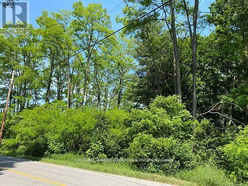 0 Lakeport Road, Alnwick/haldimand, Ontario  K0K 1S0 - Photo 11 - X12290648