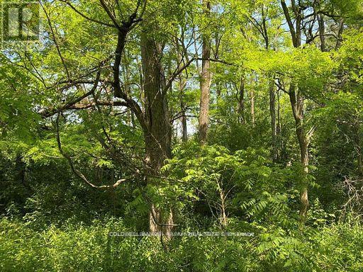 0 Lakeport Road, Alnwick/haldimand, Ontario  K0K 1S0 - Photo 14 - X12290648