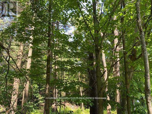 0 Lakeport Road, Alnwick/haldimand, Ontario  K0K 1S0 - Photo 16 - X12290648