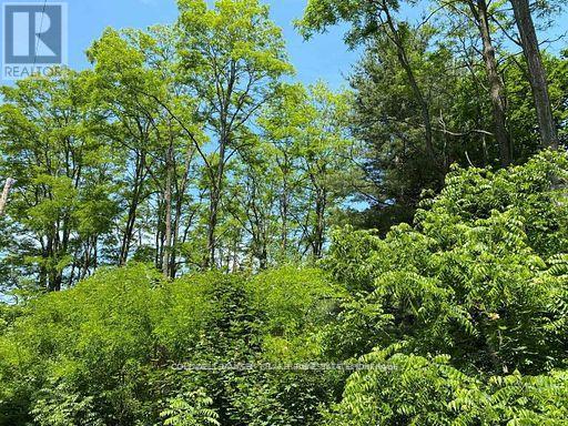 0 Lakeport Road, Alnwick/haldimand, Ontario  K0K 1S0 - Photo 15 - X12290648