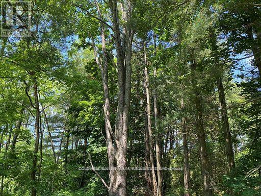 0 Lakeport Road, Alnwick/haldimand, Ontario  K0K 1S0 - Photo 17 - X12290648