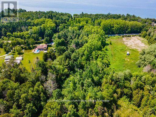 0 Lakeport Road, Alnwick/haldimand, Ontario  K0K 1S0 - Photo 8 - X12290648