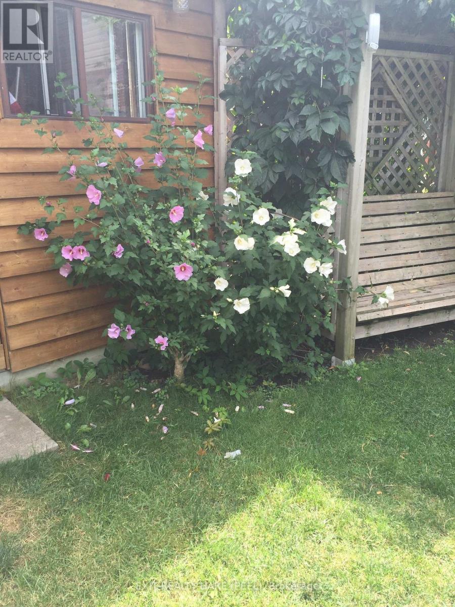 20 Sutherland Avenue, Brampton, Ontario  L6V 2H4 - Photo 43 - W12765940