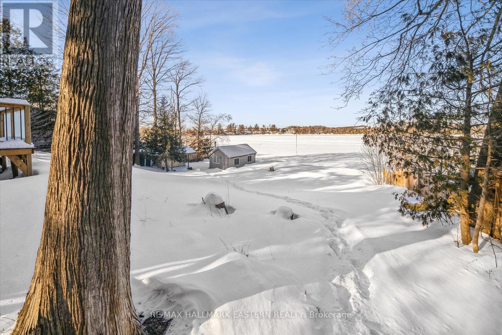 344 Fife Avenue, Selwyn, Ontario  K9J 6X3 - Photo 25 - X12766002