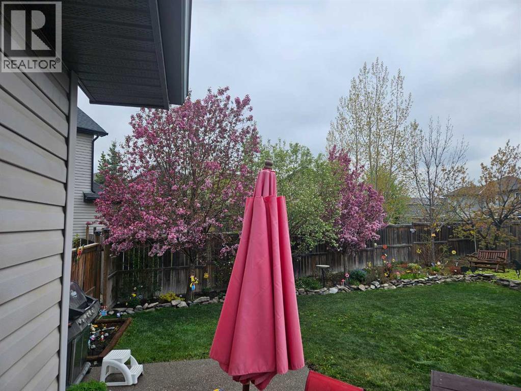 250 Royal Birch Mews Nw, Calgary, Alberta  T3G 5P1 - Photo 41 - A2283837