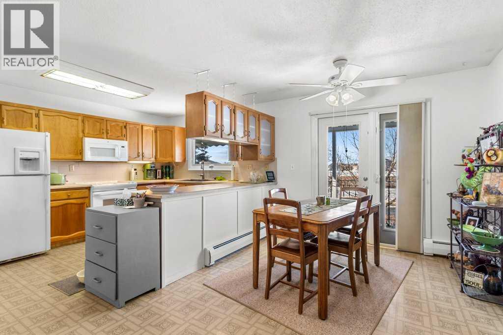 5223 53 Street, Eckville, Alberta  T0M 0X0 - Photo 4 - A2277350