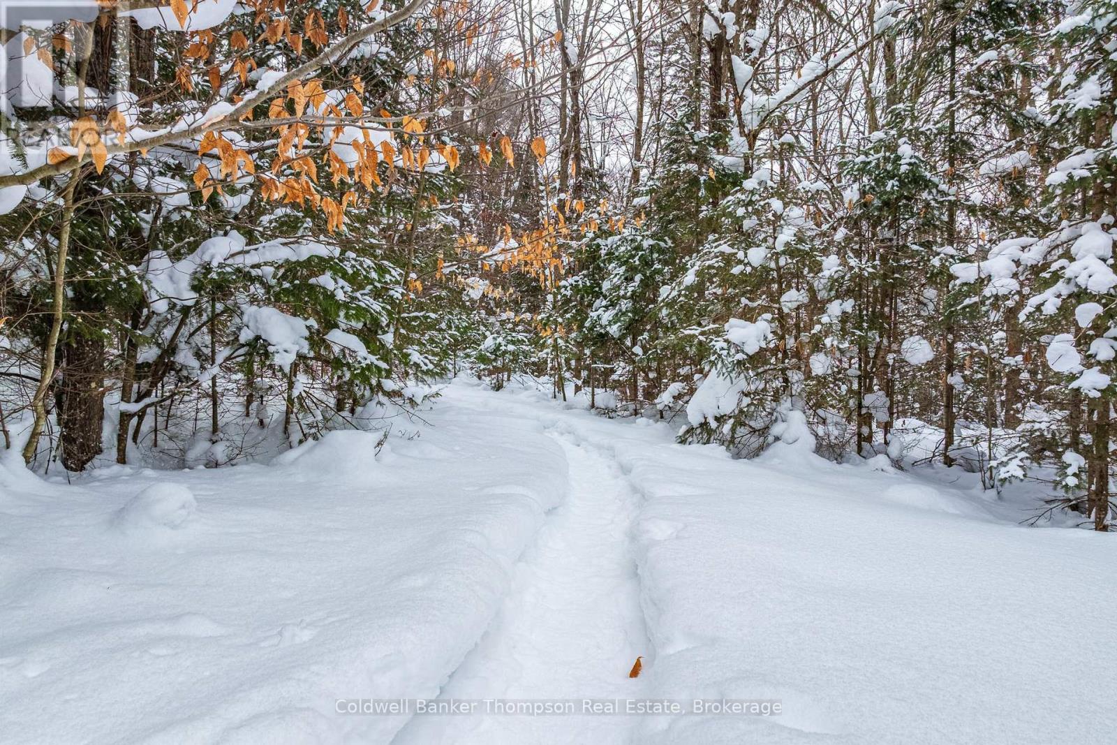 1039 South Waseosa Lake Road, Huntsville, Ontario  P1H 2N5 - Photo 28 - X12766222