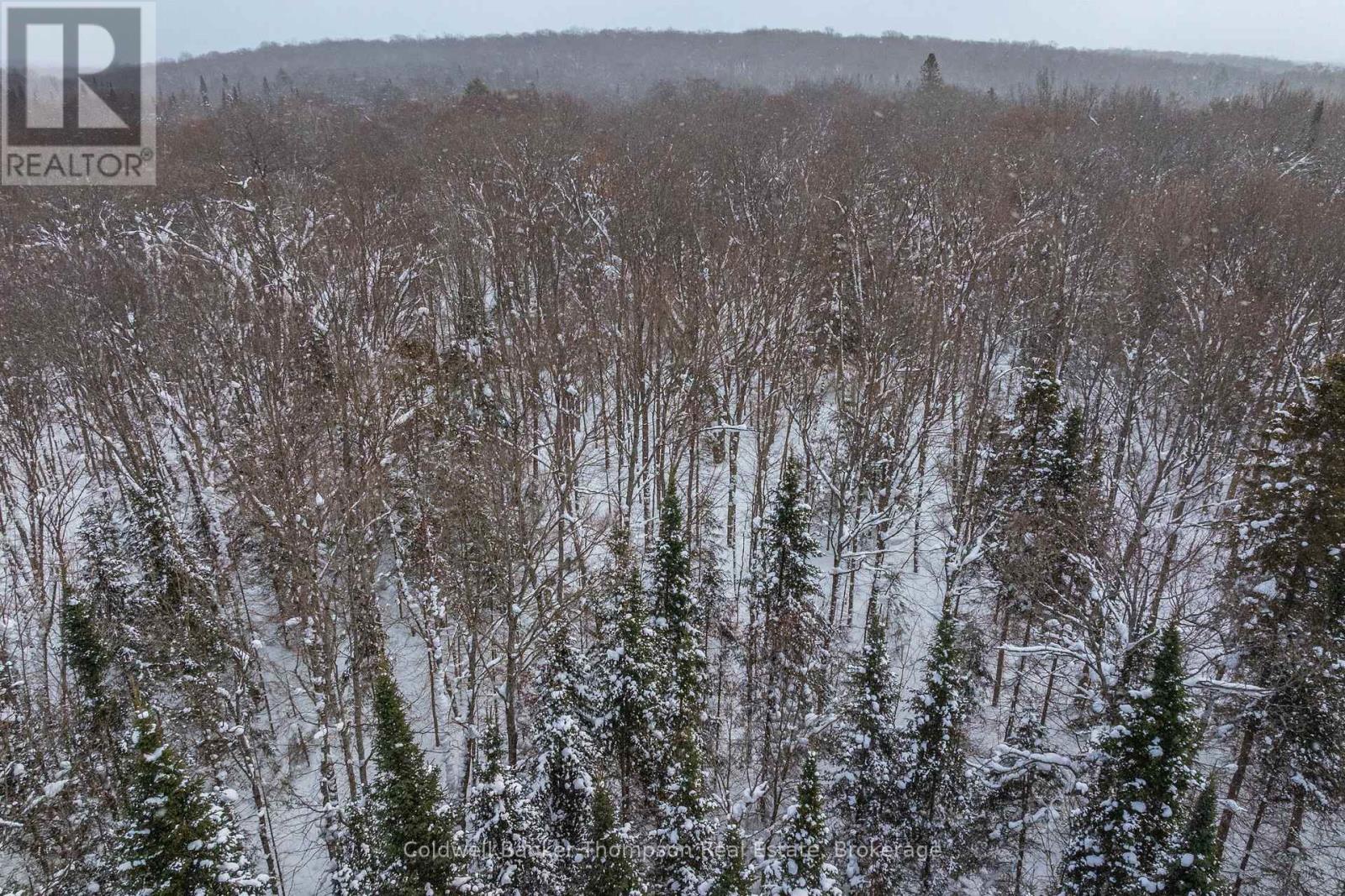 1039 South Waseosa Lake Road, Huntsville, Ontario  P1H 2N5 - Photo 34 - X12766222