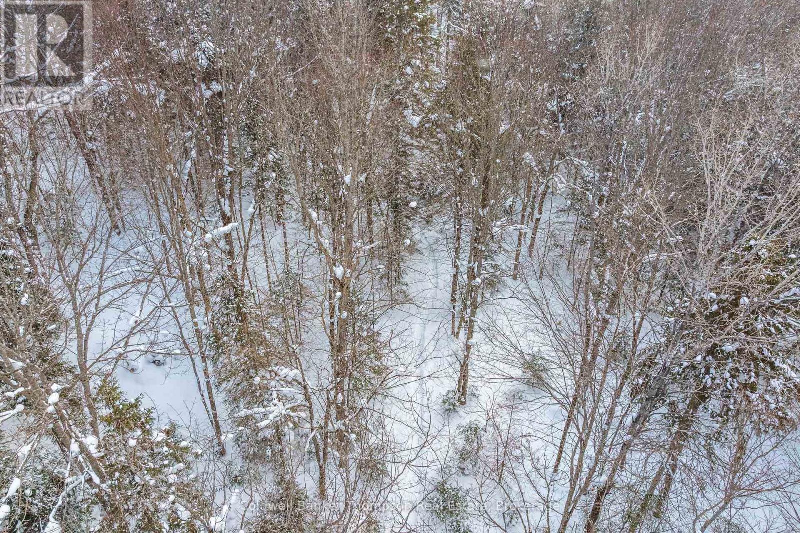 1039 South Waseosa Lake Road, Huntsville, Ontario  P1H 2N5 - Photo 44 - X12766222