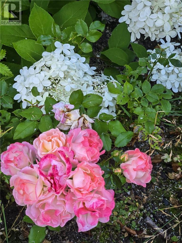 143 Crater Crescent, Sudbury, Ontario  P3E 5Y8 - Photo 49 - 2126328