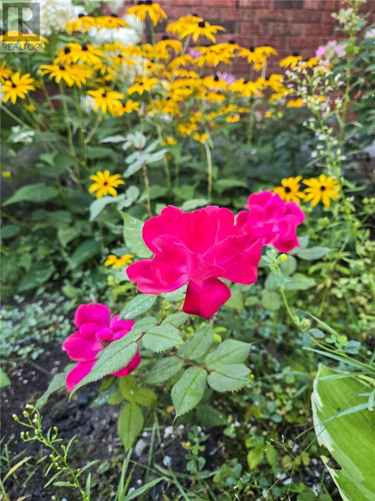 143 Crater Crescent, Sudbury, Ontario  P3E 5Y8 - Photo 51 - 2126328