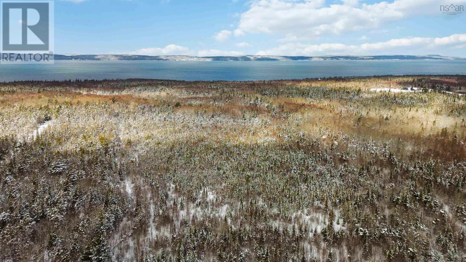 Lot Highway 101, Ashmore, Nova Scotia  B0W 3T0 - Photo 11 - 202602300