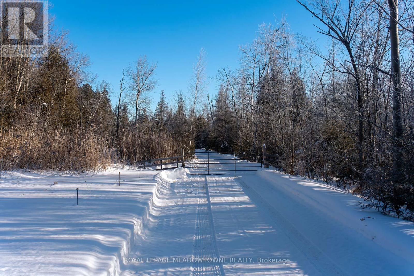 14165 Trafalgar Road, Halton Hills, Ontario  L7G 4S4 - Photo 4 - W12766206