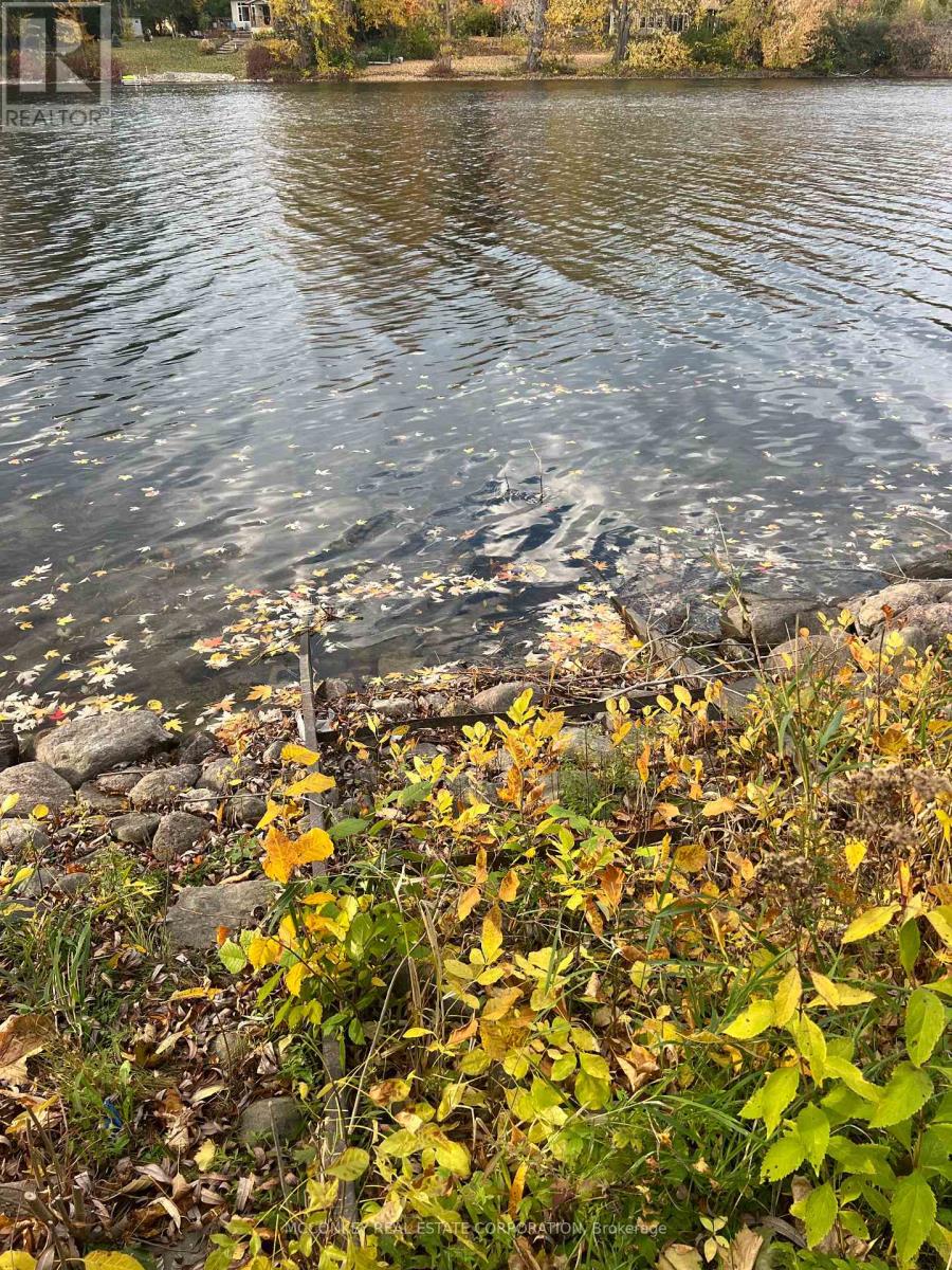 244 Sherin Avenue, Peterborough (Ashburnham Ward 4), Ontario  K9J 1B6 - Photo 49 - X12766392