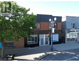 808 OTTAWA STREET Unit# 3, Windsor, Ontario