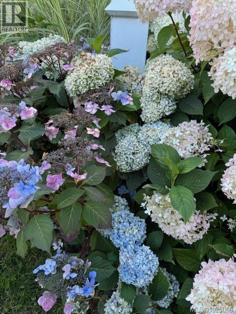 2118 Village Dr, Nanaimo, British Columbia  V9X 0B1 - Photo 61 - 1025066