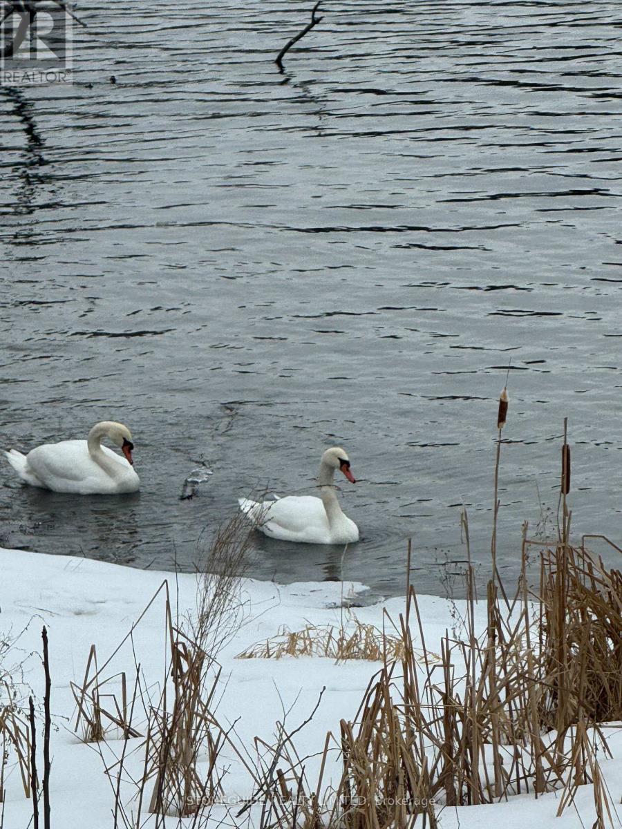 122 Fradette Avenue, Peterborough, Ontario  K9J 1T5 - Photo 43 - X12764870