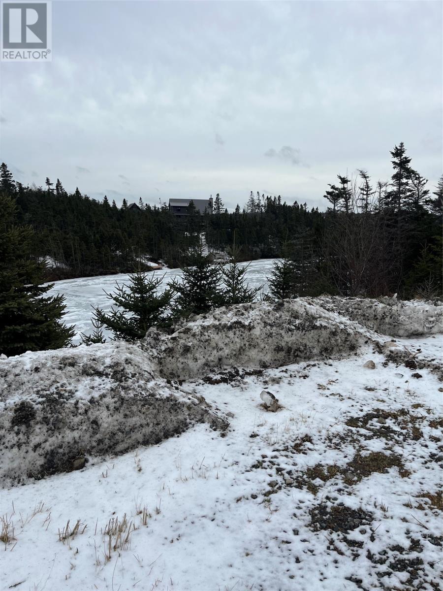 33 Long Pond Road, Georgetown, Newfoundland & Labrador  A0A 2Z0 - Photo 5 - 1293818